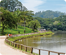 Parque do Carmo