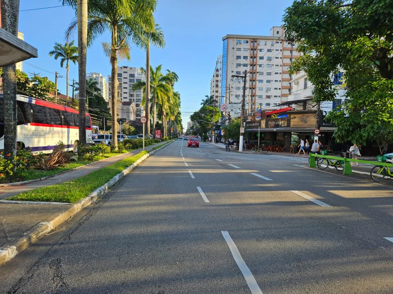 Avenida Ana Costa 