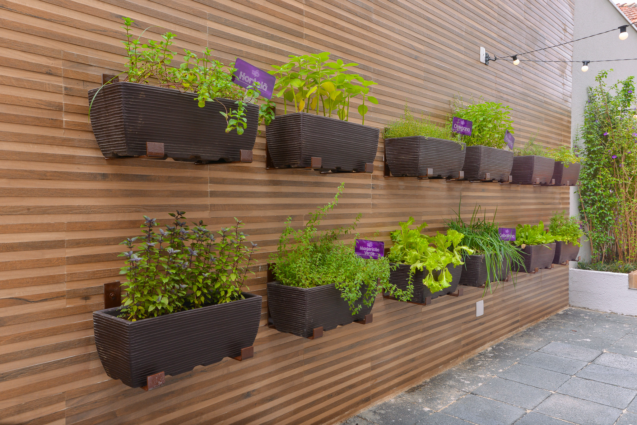 Horta