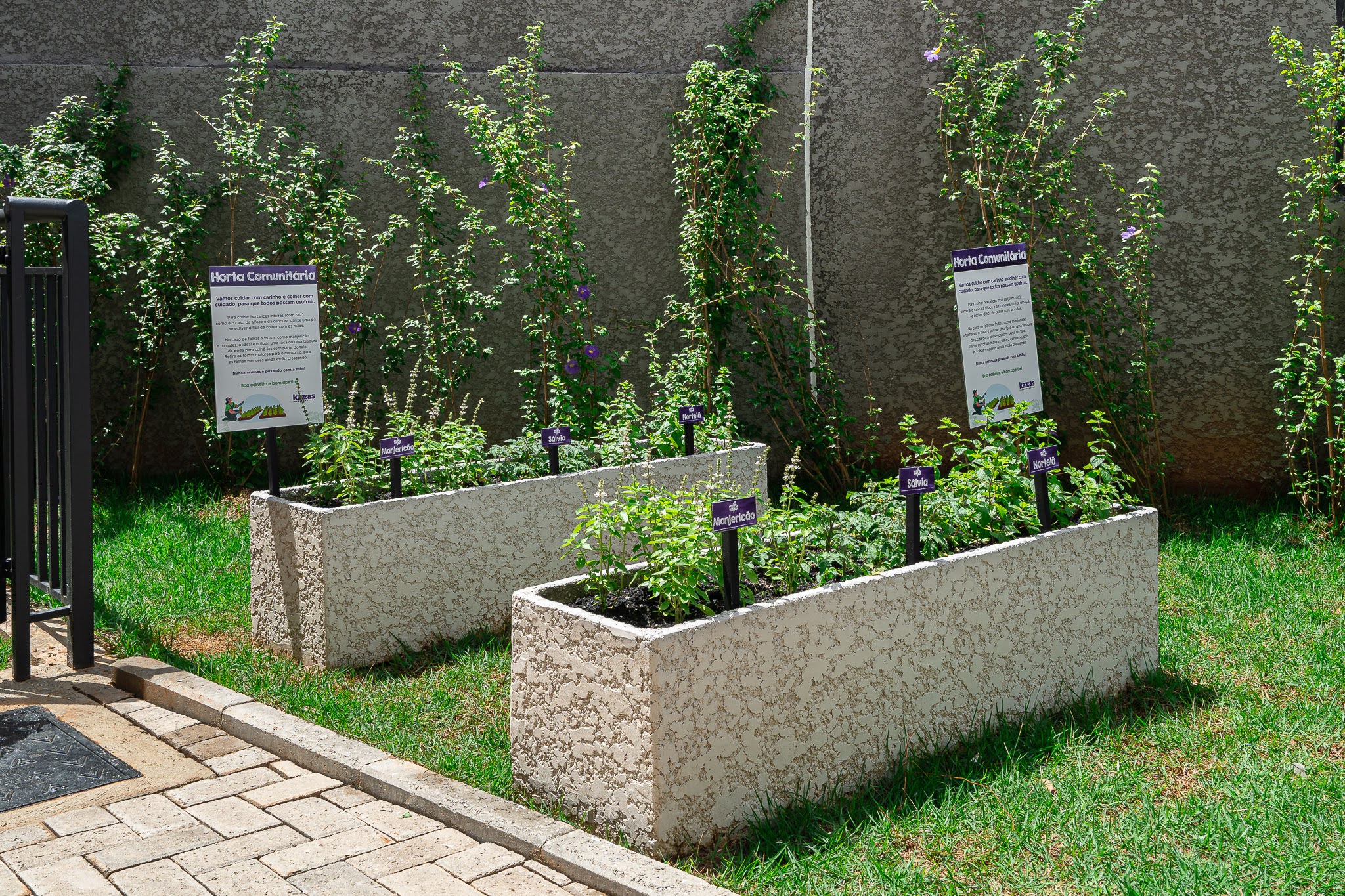 Horta