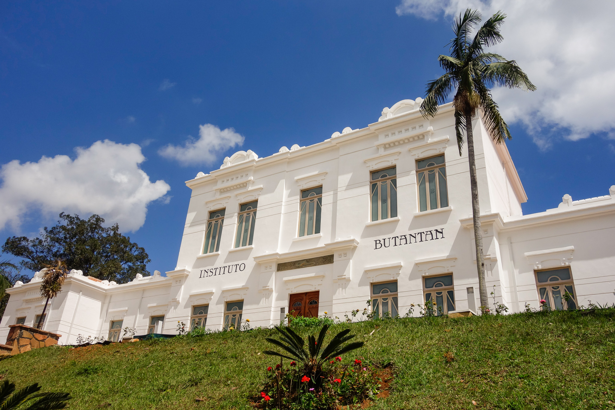 Instituto Butantan