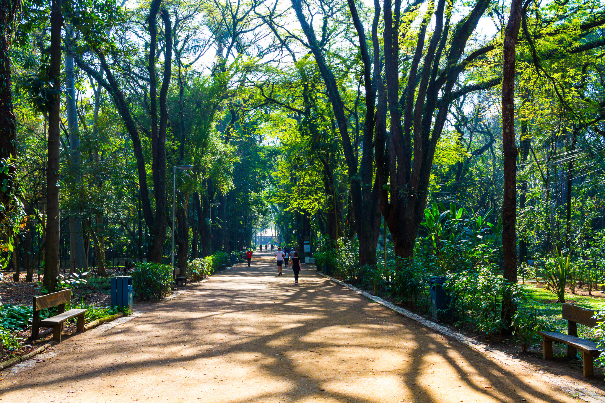 Parque Piqueri