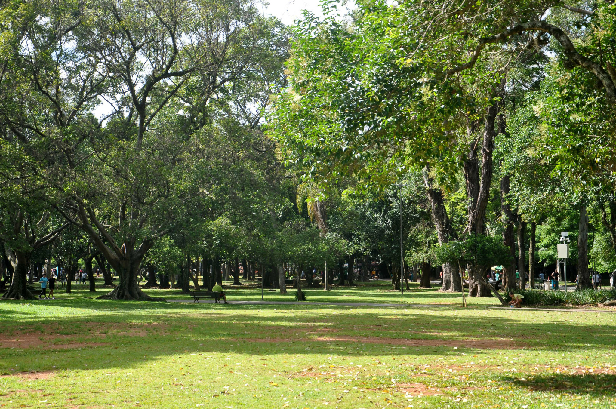 Parque Nabuco