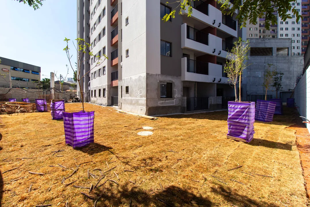 Paisagismo e área externa em fase final