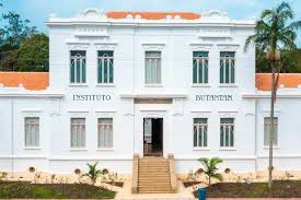 Instituto Butantan
