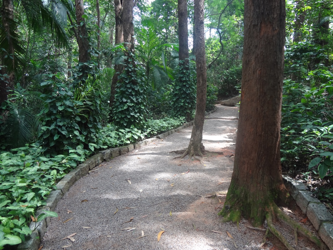 Parque dos Eucaliptos