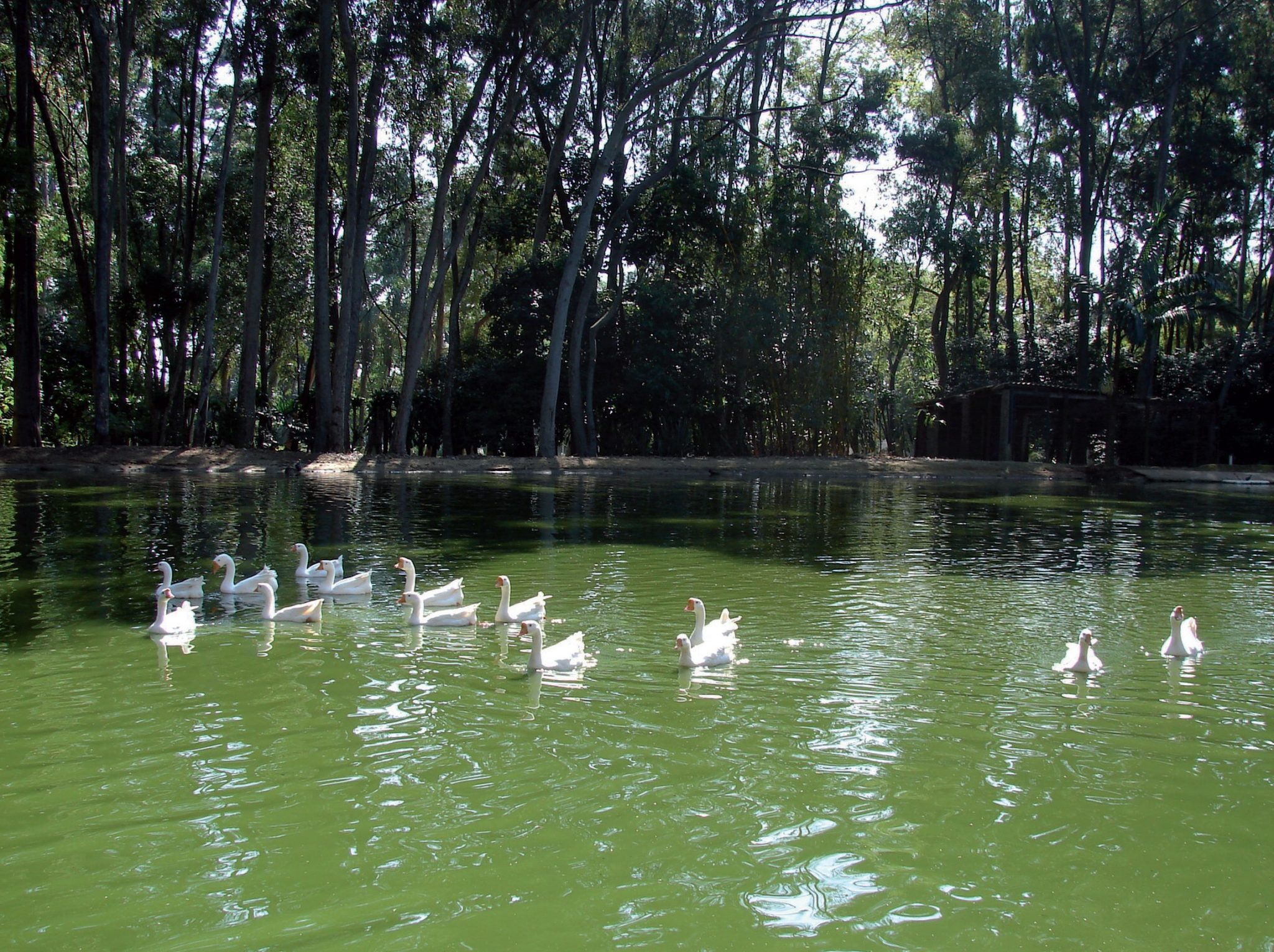 Parque Piqueri