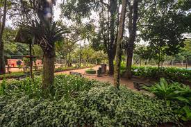 Parque Santo Dias