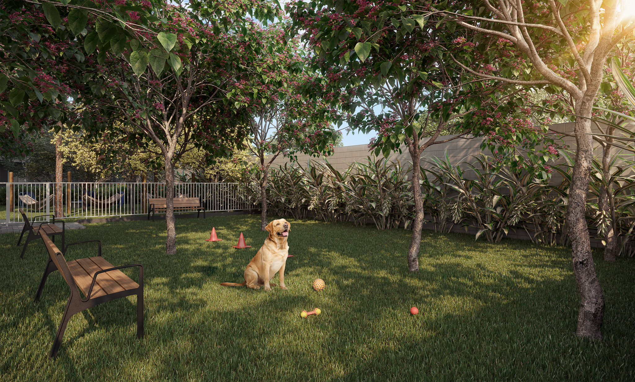 Pet Place