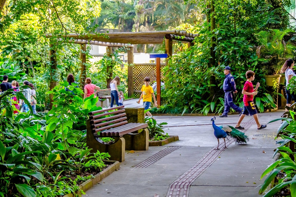Orquidário Municipal em Santos SP